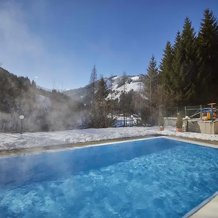 In Bei Saalbach - Pinzgau 51126