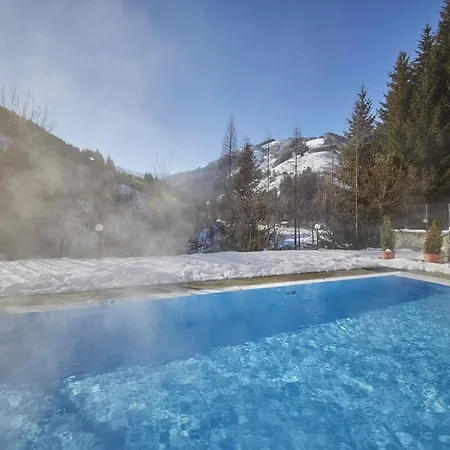 In Bei Saalbach - Pinzgau 51126 Apartment